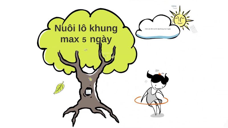 Phương pháp nuôi lô khung 5 ngày